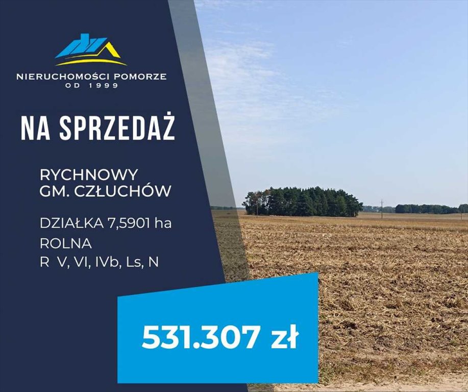 Działka rolna na sprzedaż Rychnowy  75 901m2 Foto 1