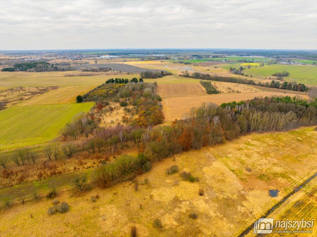 Działka rolna na sprzedaż Nowogard, Obrzeża miasta  7 159m2 Foto 1