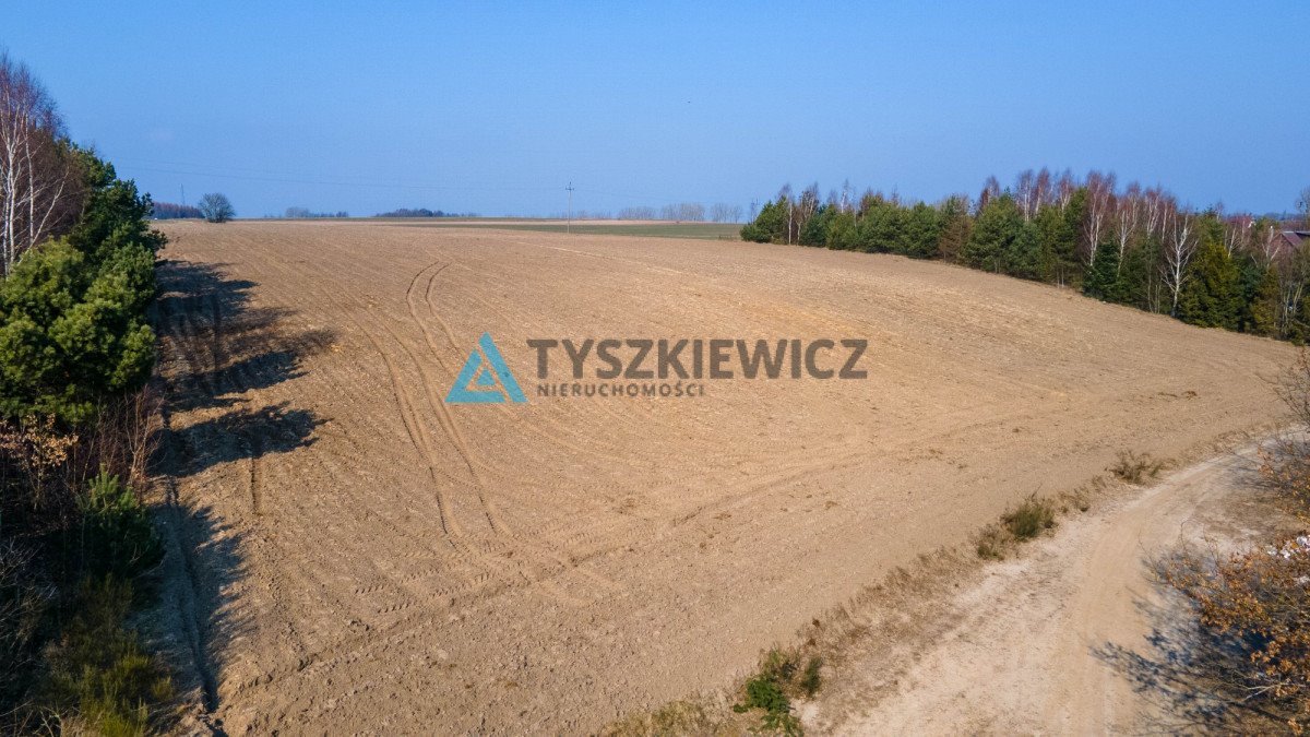 Działka rolna na sprzedaż Krokowa, Polna  10 724m2 Foto 4