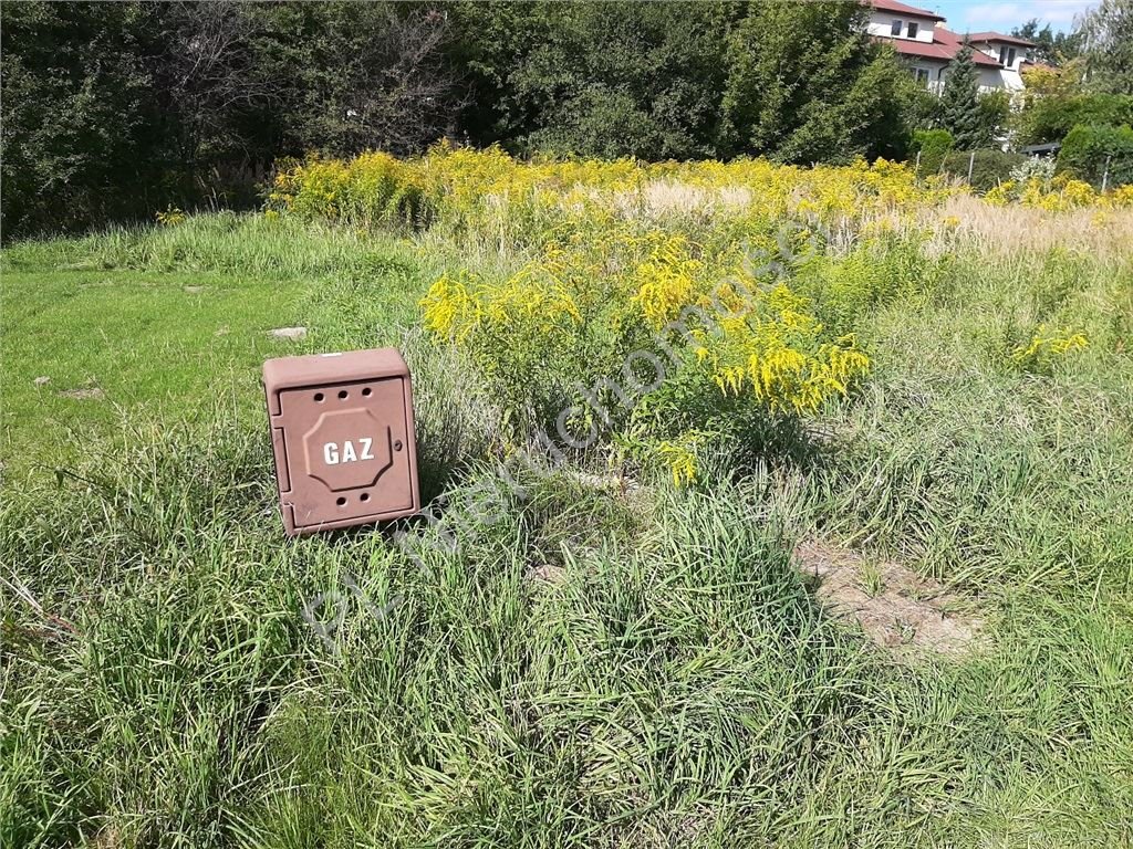 Działka budowlana na sprzedaż Reguły  821m2 Foto 4