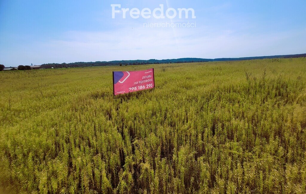 Działka inna na sprzedaż Nidzica  3 010m2 Foto 1