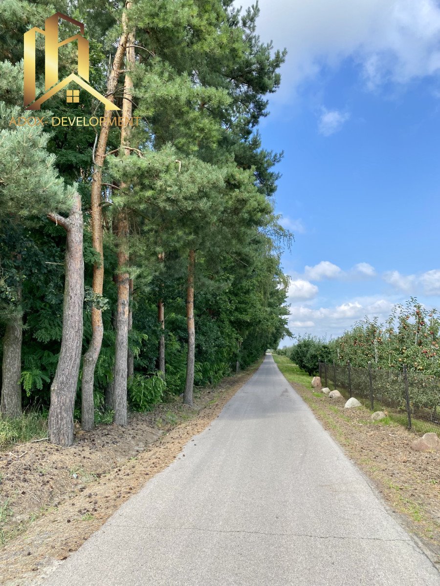 Zalesiona działka 16 ha w Mąkosinie – idealna inwestycja Mąkosin  16 164m2 Foto 1