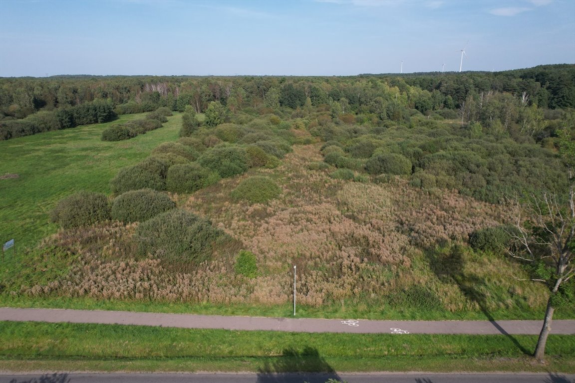 Działka rolna na sprzedaż Bruskowo Wielkie  5 000m2 Foto 3