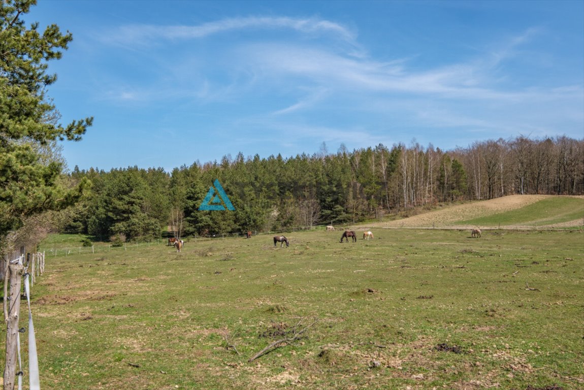 Mieszkanie trzypokojowe na sprzedaż Gdynia, Wielki Kack, Pienińska  67m2 Foto 9