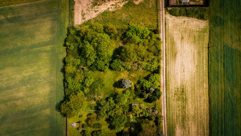 Działka budowlana na sprzedaż Poddębice  1 500m2 Foto 4