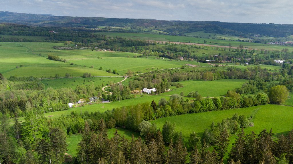 Działka budowlana na sprzedaż Szczytna  15 700m2 Foto 5