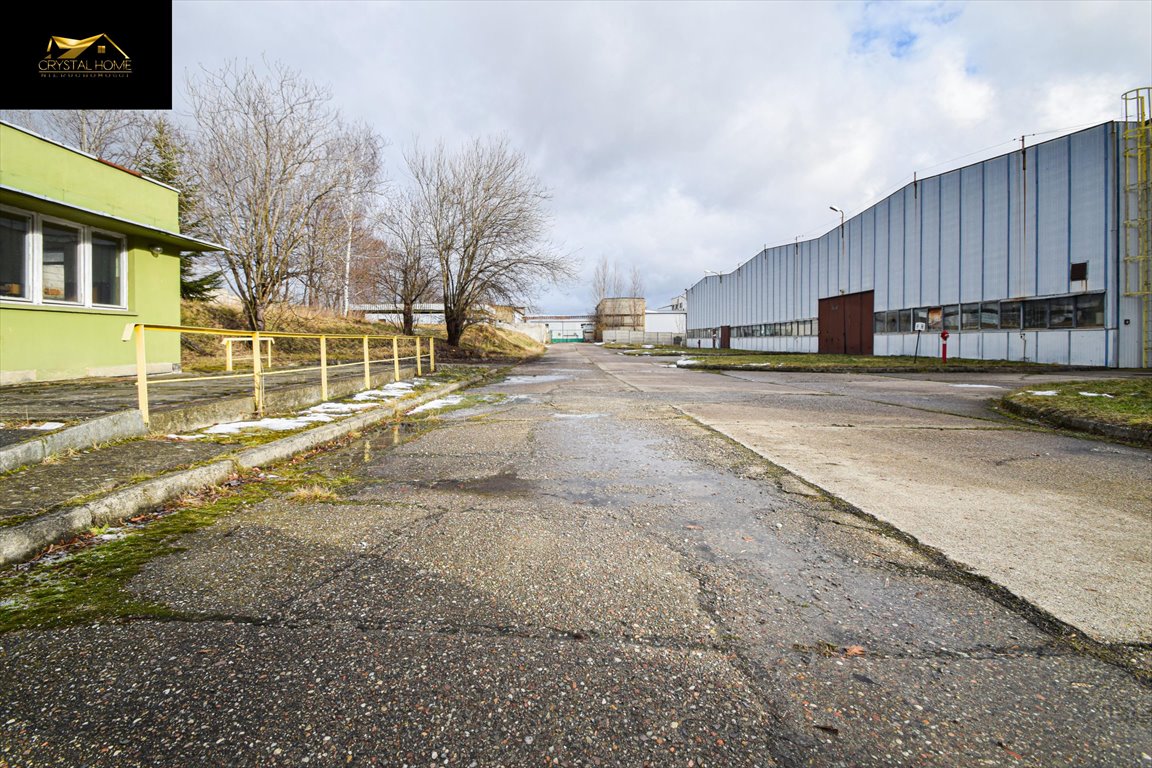 Lokal użytkowy na sprzedaż Pieszyce, Piskorzowska  6 200m2 Foto 15