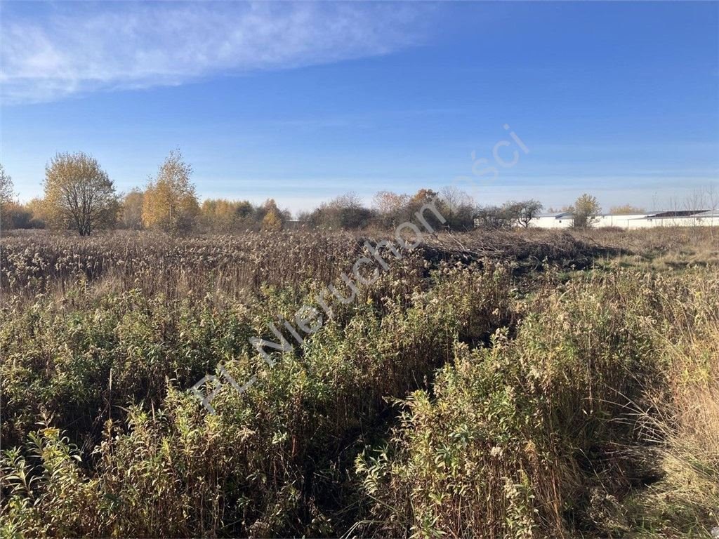 Sprzedam działki budowlane z MPZP, 9575 m² w Woli Mrokowskiej Wola Mrokowska  9 575m2 Foto 1