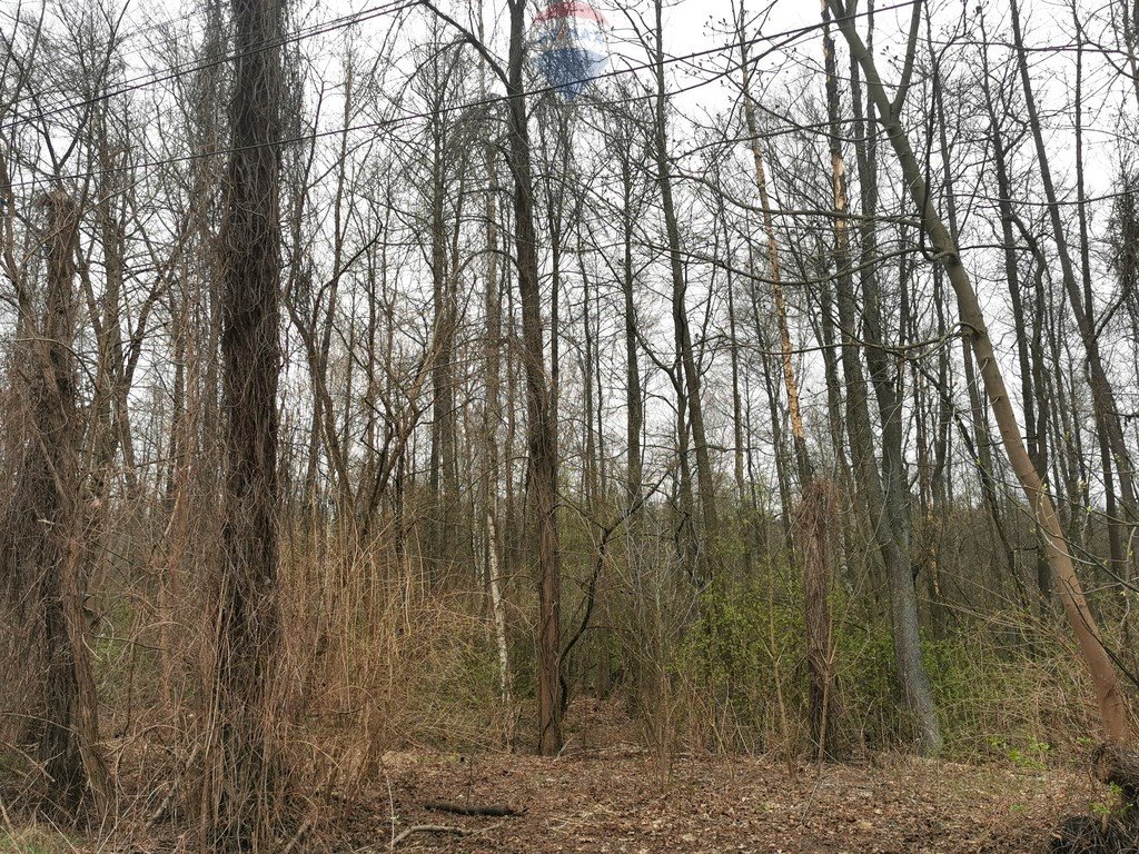 Działka leśna na sprzedaż Warszawa, Wawer  3 149m2 Foto 7