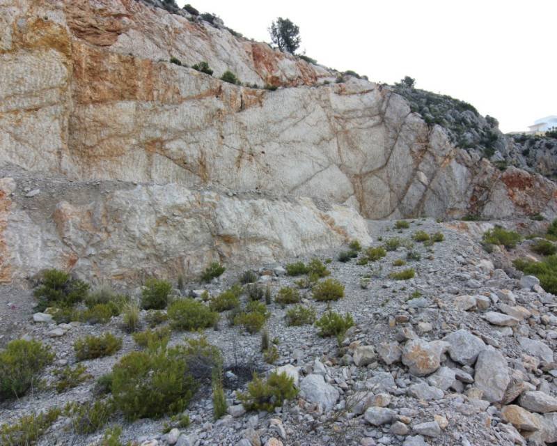 Działka budowlana na sprzedaż Hiszpania, Altea, Hiszpania, Altea  4 000m2 Foto 5