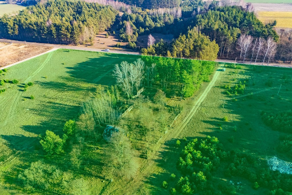 Działka siedliskowa na sprzedaż Borki  101 600m2 Foto 4