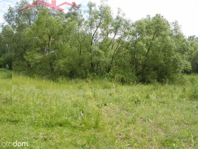 Działka 3,2 ha z rzeczką i lasem w Krempnej Krempna  3 200m2 Foto 1