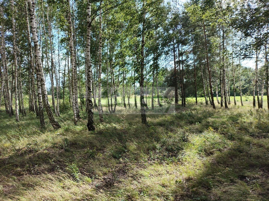 Zapraszam do zakupu działki 1005 m² pod dom w Gawartowej Woli Gawartowa Wola  1 005m2 Foto 1