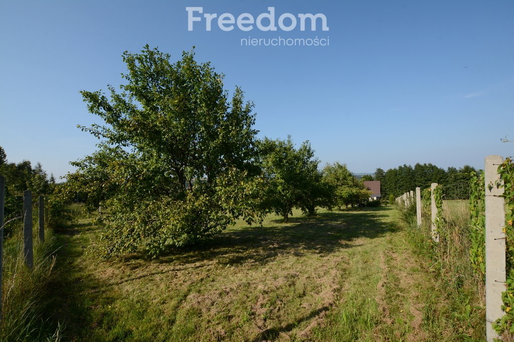 Działka budowlana na sprzedaż Inwałd  1 217m2 Foto 13