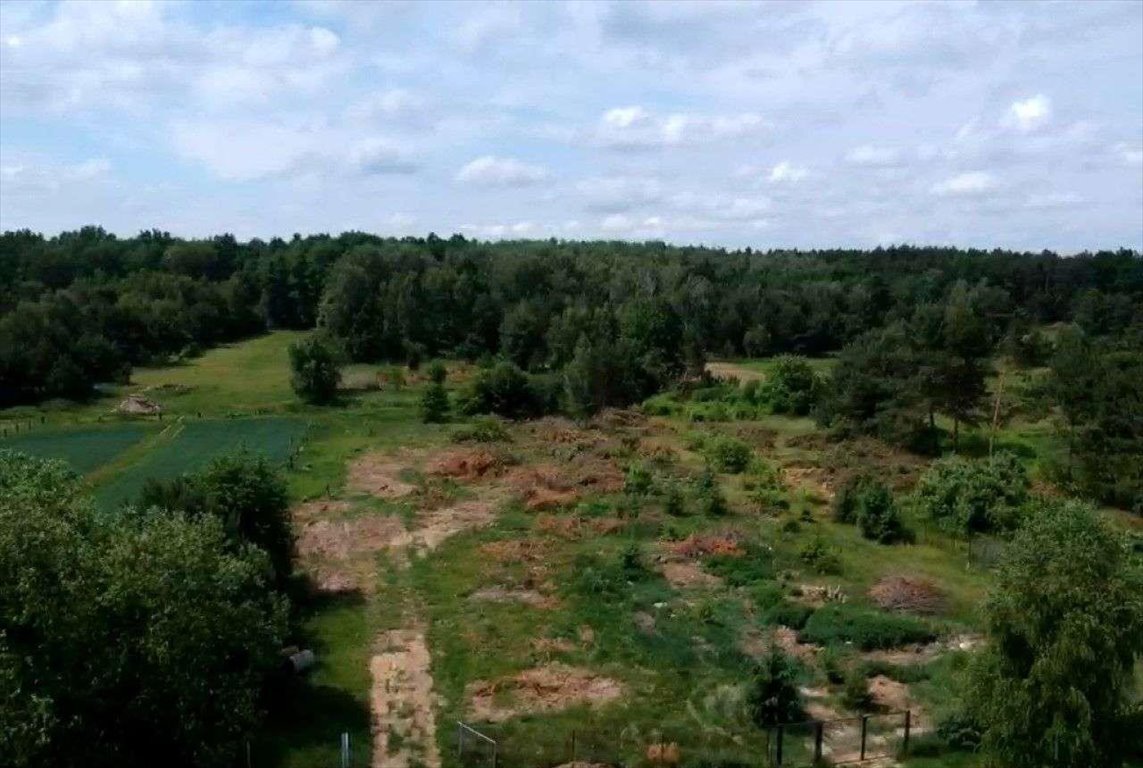 Działka budowlana na sprzedaż Sieraków  8 800m2 Foto 3