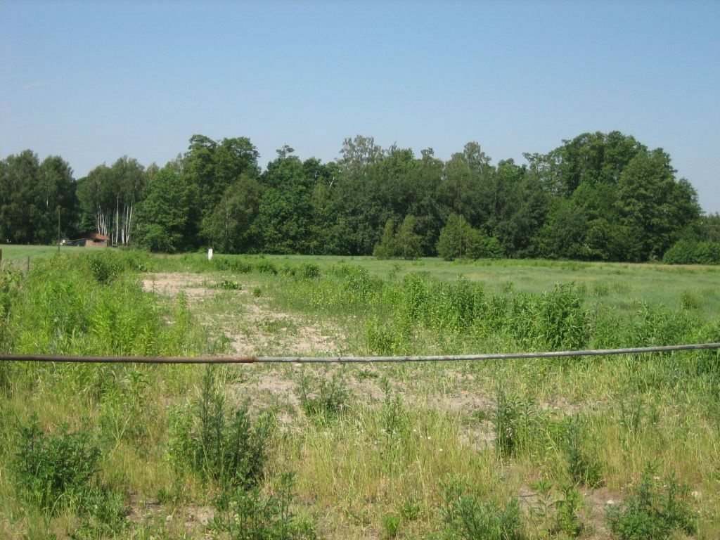 Działka budowlana na sprzedaż Łódź, Bałuty, Zimna Woda, Zimna Woda  3 600m2 Foto 7