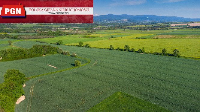 Działka budowlana na sprzedaż Bystrzyca Kłodzka  32 600m2 Foto 5