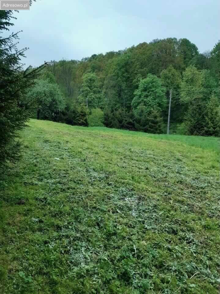 Działka budowlana na sprzedaż Wilcza  2 400m2 Foto 4