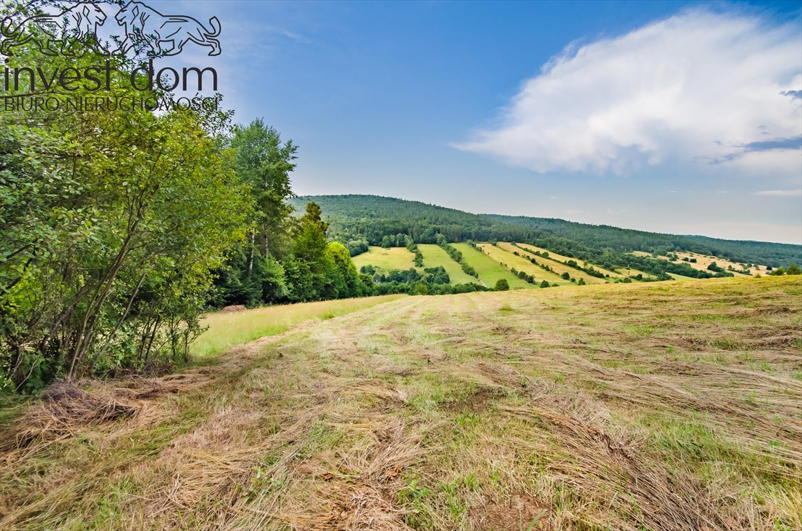 Działka budowlana na sprzedaż Małastów  24 800m2 Foto 7