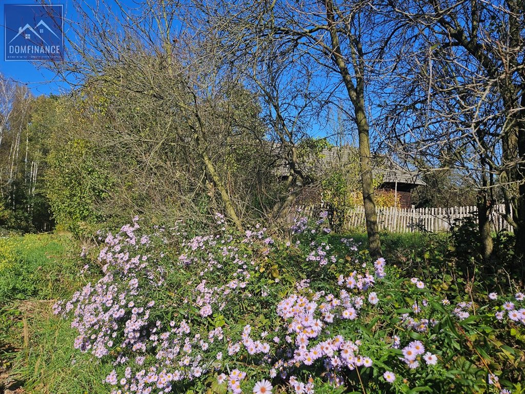 Działka inna na sprzedaż Sutków  29 500m2 Foto 11