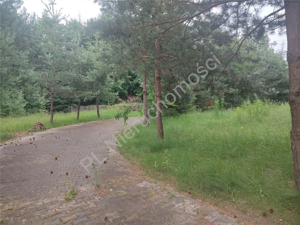 Działka budowlana na sprzedaż Komorów  4 200m2 Foto 2