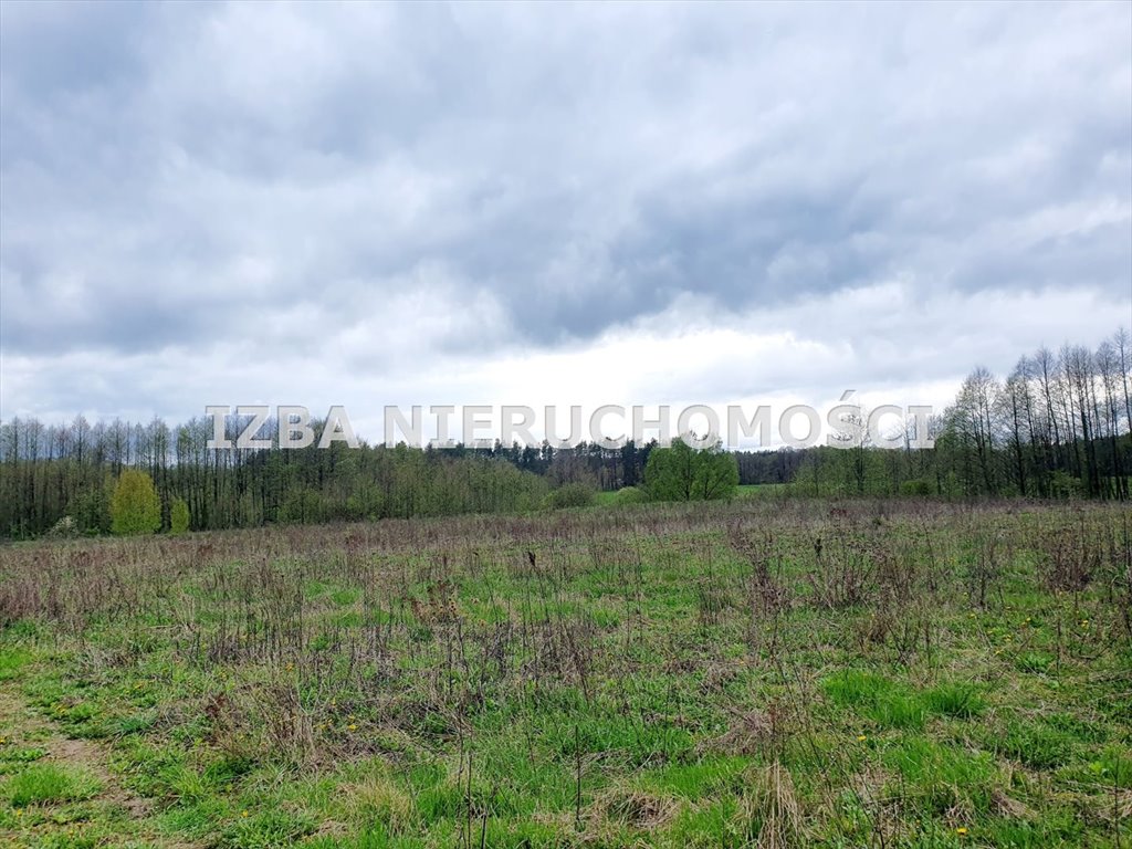 Działka rekreacyjna na sprzedaż Krokocie  3 000m2 Foto 16