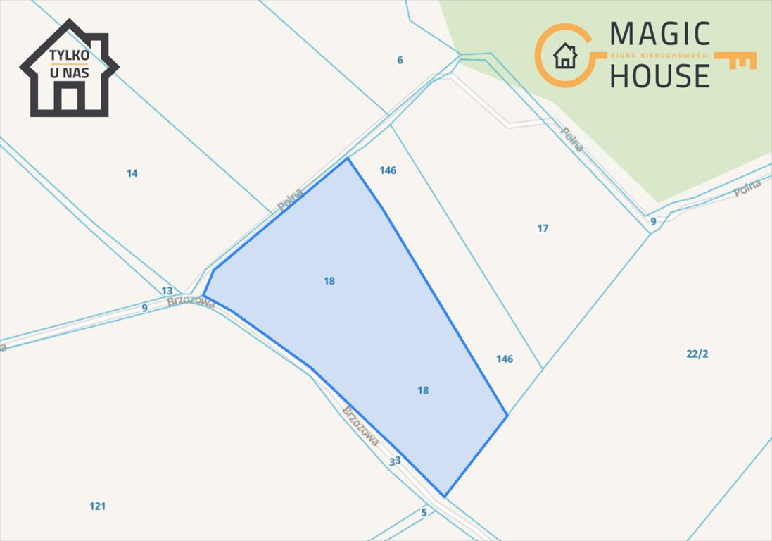 Działka rolna 2,98 ha z dostępem do drogi, inwestycja zapraszam Kłodawa, Brzozowa  29 800m2 Foto 1