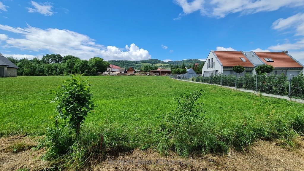 Działka budowlana na sprzedaż Budzów  2 400m2 Foto 1