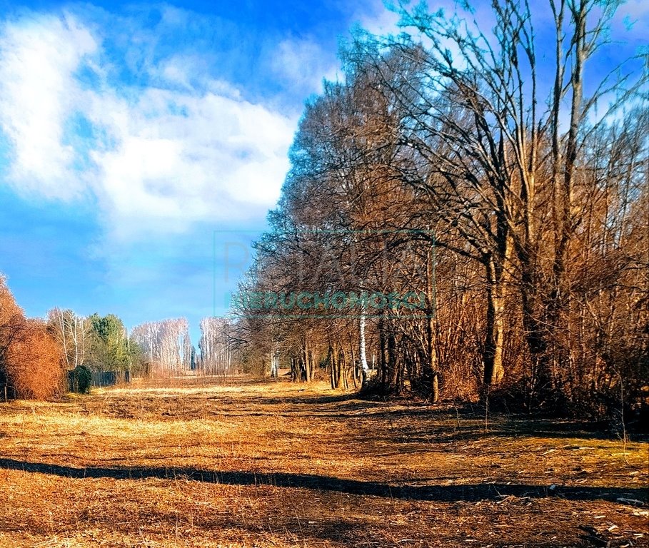 Działka z lasem 11 950 m2 w Makówce – idealna inwestycja Makówka  11 950m2 Foto 1