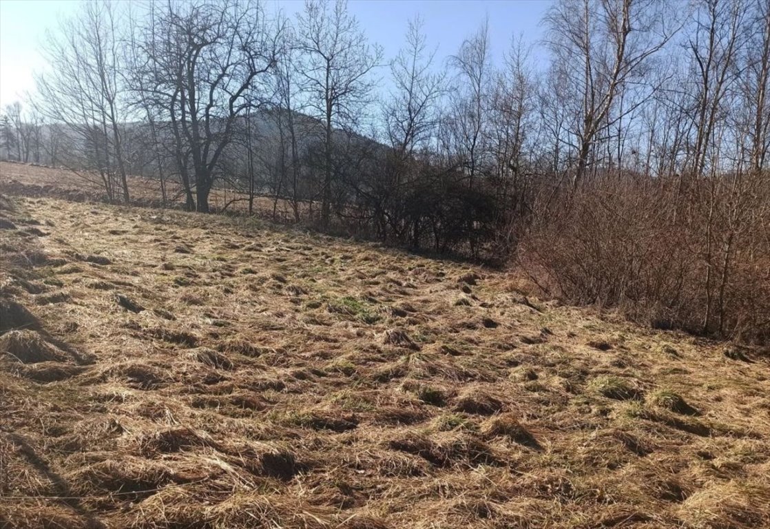 Działka budowlana na sprzedaż Milówka  1 300m2 Foto 10