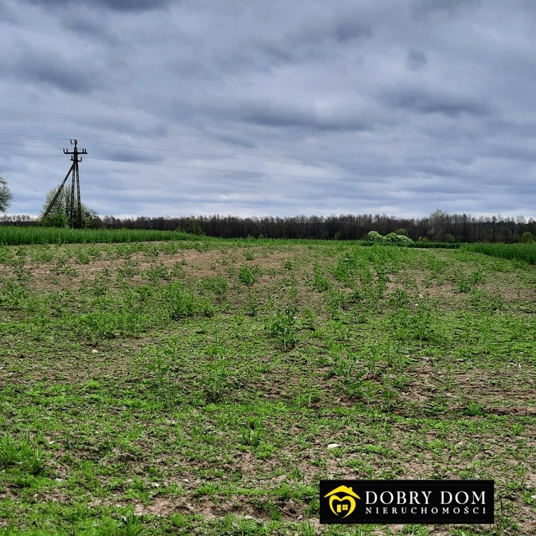 Działka rolna na sprzedaż Staworowo  2 943m2 Foto 3