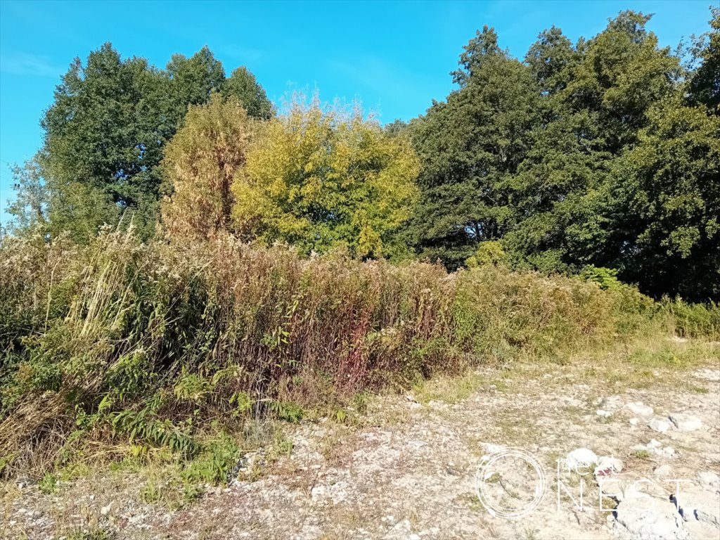 Działka 3200 m² pod zabudowę bliźniaczą w Podolszynie Nowym Podolszyn Nowy, Długa  3 200m2 Foto 1