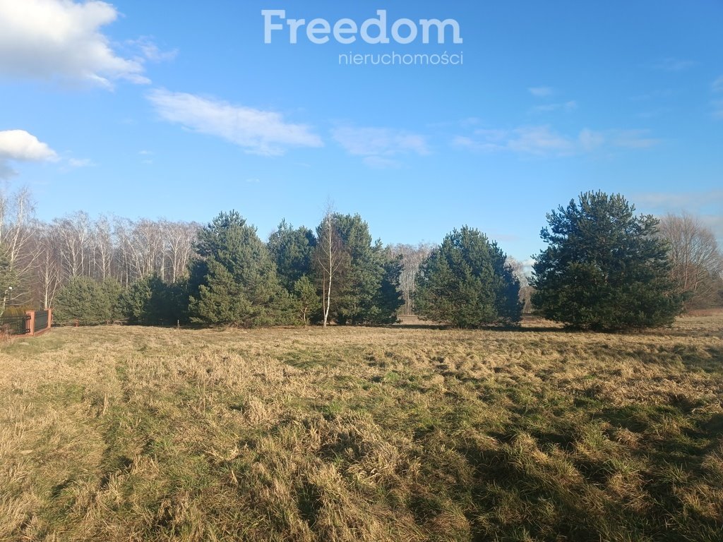 Działka budowlana na sprzedaż Wągrodno, Jesionowa  4 000m2 Foto 1