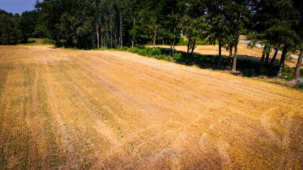 Działka budowlana na sprzedaż Adamów  1 255m2 Foto 10