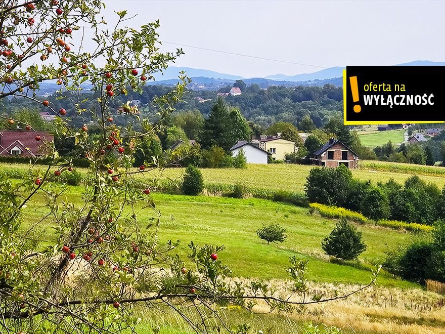 Działka 3500 m² z widokiem na góry i lasem - zapraszam Czechówka  3 500m2 Foto 1