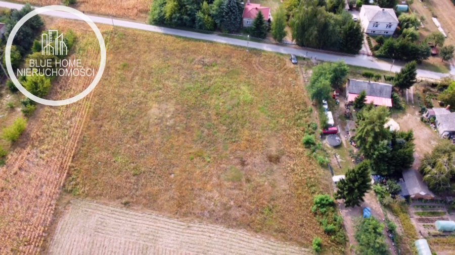 Działka inna na sprzedaż Aleksandria Krzywowolska  4 300m2 Foto 3