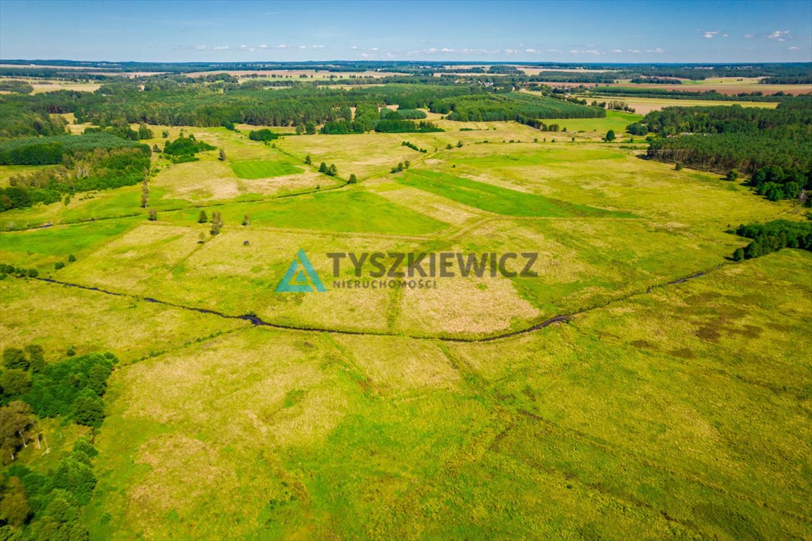 Działka rolna na sprzedaż Poborowo  9 200m2 Foto 11