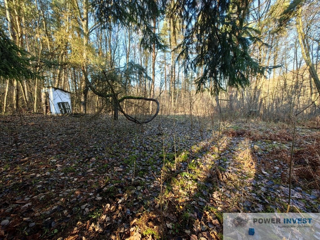 Działka budowlana na sprzedaż Grabce Józefpolskie  5 000m2 Foto 11