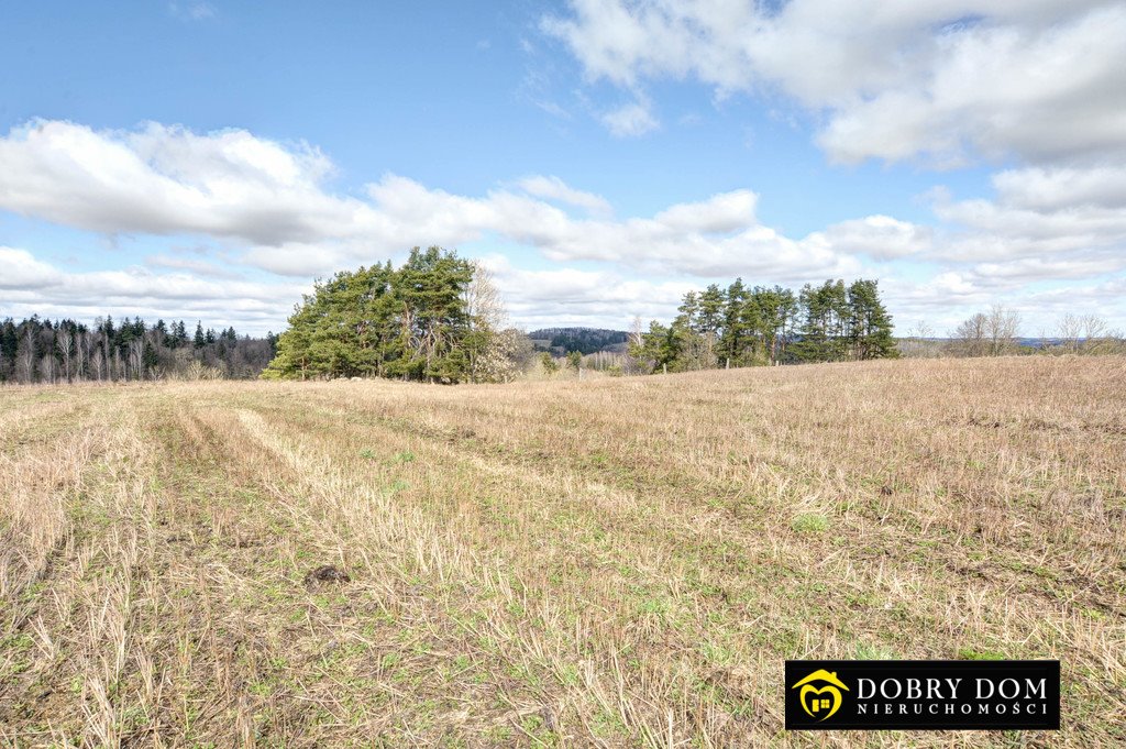 Działka rolna na sprzedaż Szeszupka  12 000m2 Foto 8