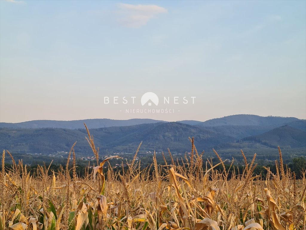 Działka budowlana na sprzedaż Jasienica  10 340m2 Foto 7