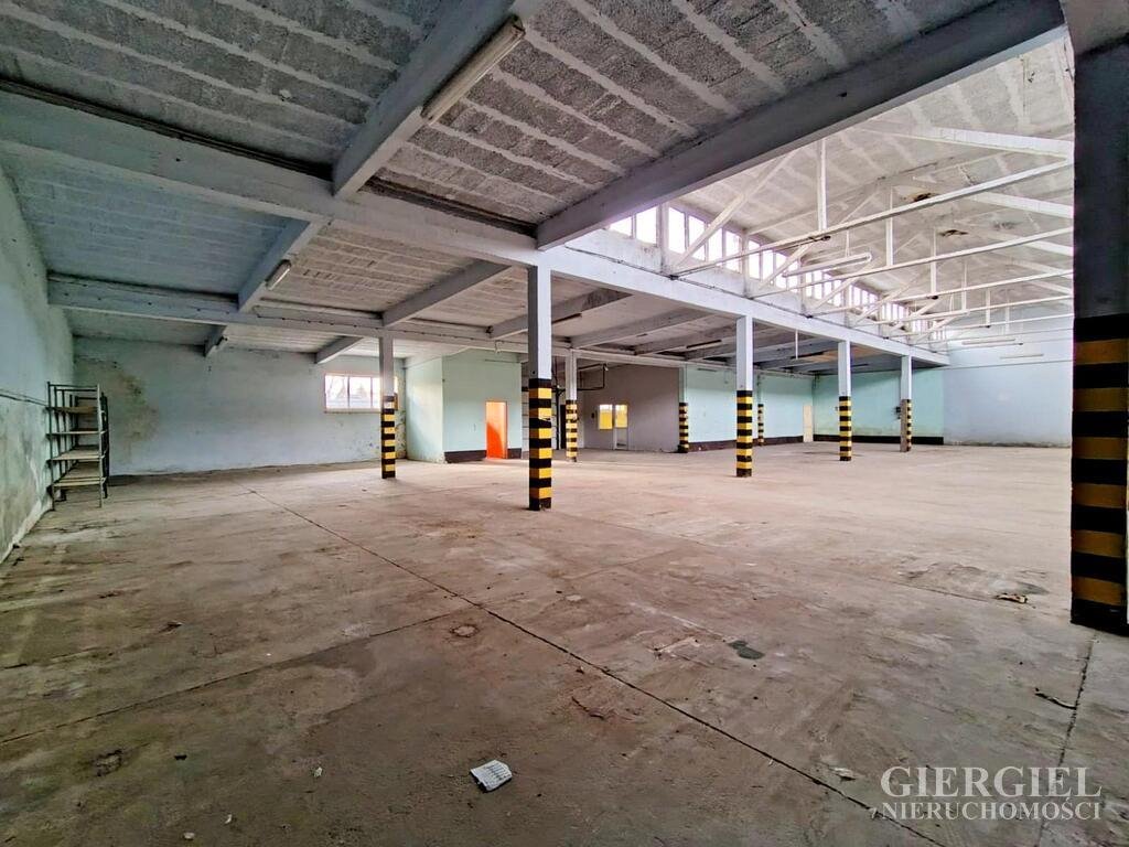 Lokal użytkowy na wynajem Boguchwała  900m2 Foto 5