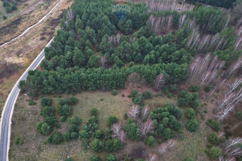 Działka budowlana na sprzedaż Stara Huta  2 950m2 Foto 4