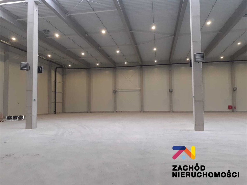 Hala magazynowa 2767 m² z biurami, dokami i placem Zielona Góra, Kisielin Nowy  2 767m2 Foto 1
