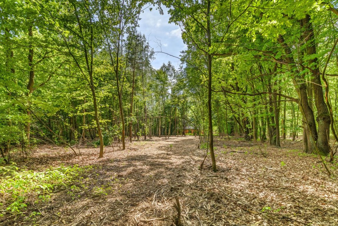 Działka budowlana na sprzedaż Jabłonna, Dębowa  2 670m2 Foto 1