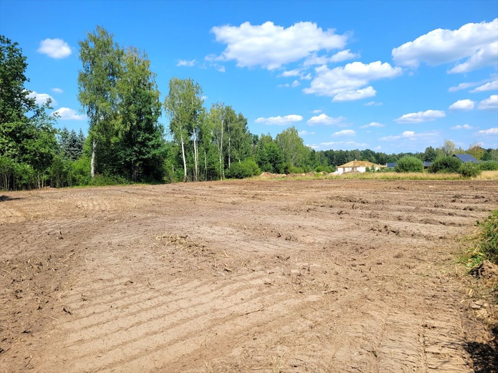 Działka budowlana na sprzedaż Janinów, Szkocka  5 653m2 Foto 1