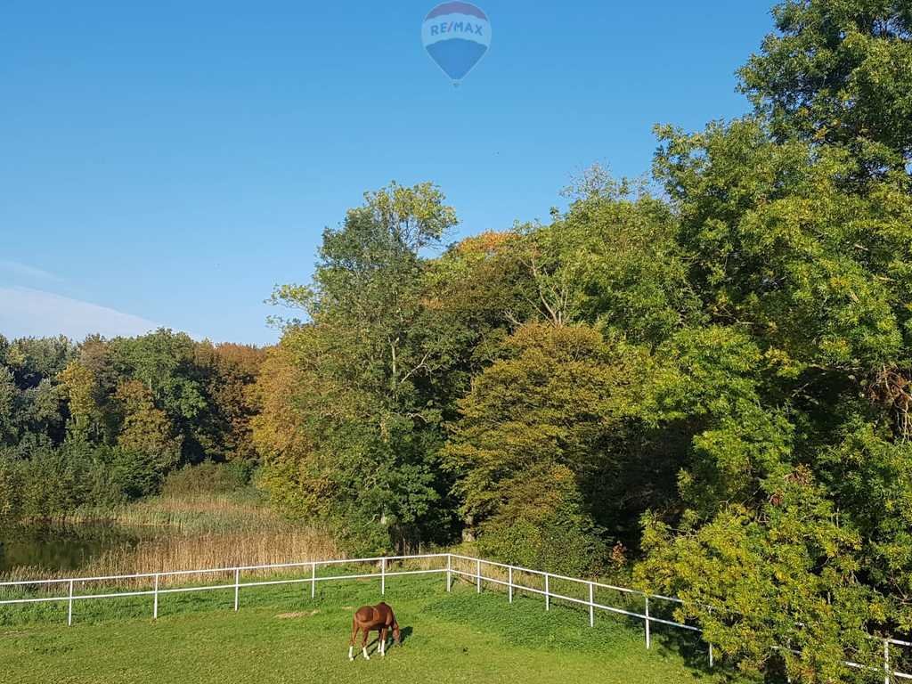 Działka budowlana na sprzedaż Osieki Lęborskie  319 000m2 Foto 13