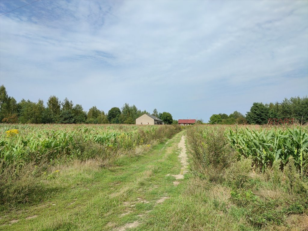 Działka 6,73 ha z domem i stodołą, blisko Suntago Gurba  67 300m2 Foto 1