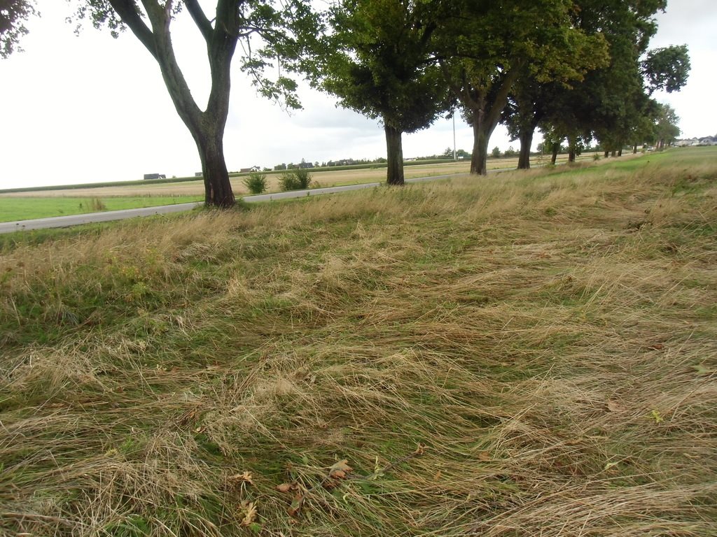 Działka budowlana na sprzedaż Łebcz  1 660m2 Foto 1