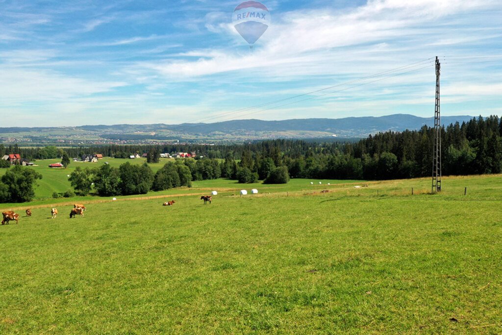 Działka budowlana na sprzedaż Maruszyna  9 650m2 Foto 12