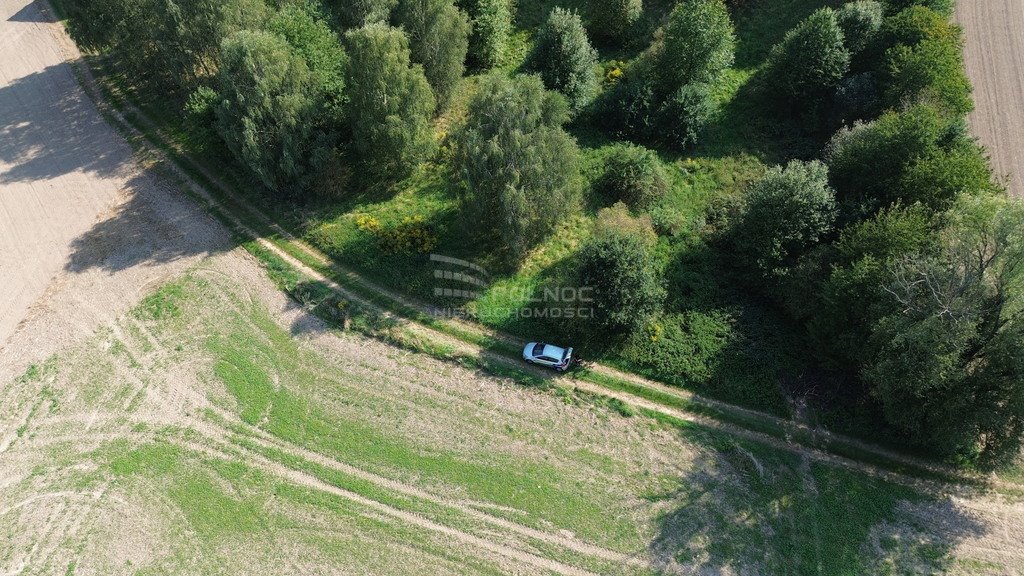 Działka budowlana na sprzedaż Suszki  1 650m2 Foto 2